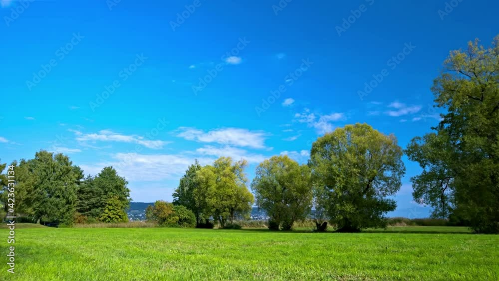 Time lapse shot of green trees and grassland under blue sky and white clouds in a park during the day, taken in Au, Zurich, Switzerland Time lapse shot of green trees and grassland under blue sky and white clouds in a park during the day, taken in Au, Zurich, Switzerland