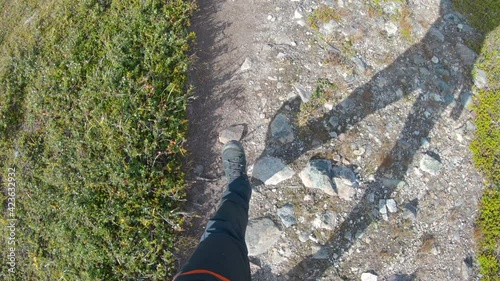 Legs of a male hiker walking on a rocky path in the nature of Northern Sweden. photo