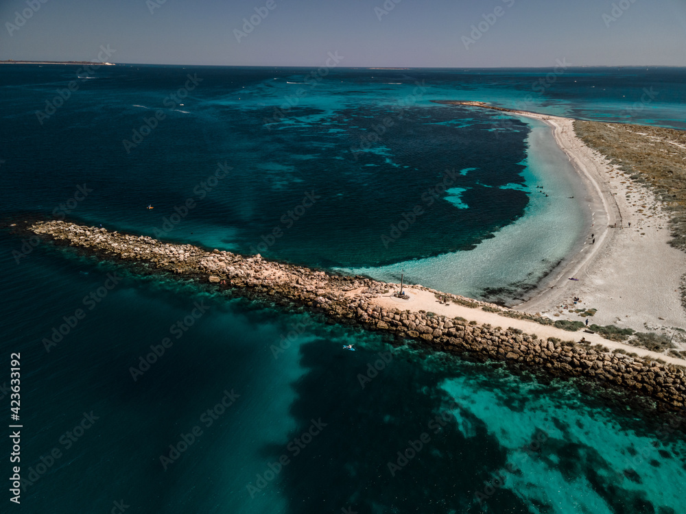 Fototapeta premium Diving Woodman Point Reef In Coogee, Western Australia