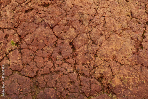 Red Clay walls texture for background