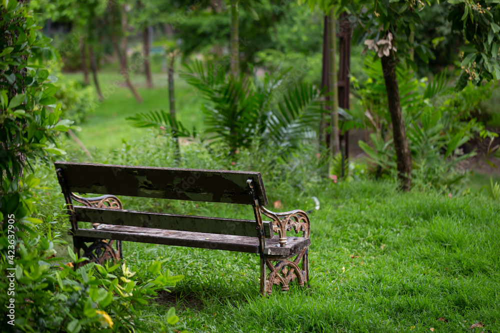 The bench chairs in the park are comfortable and located on the courtyard under the shade of large trees. The bench chairs in the park are comfortable and located on the courtyard under the shade of large trees.