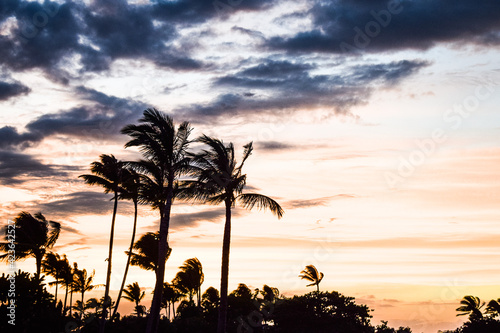 ハワイ島の夕焼けを眺める