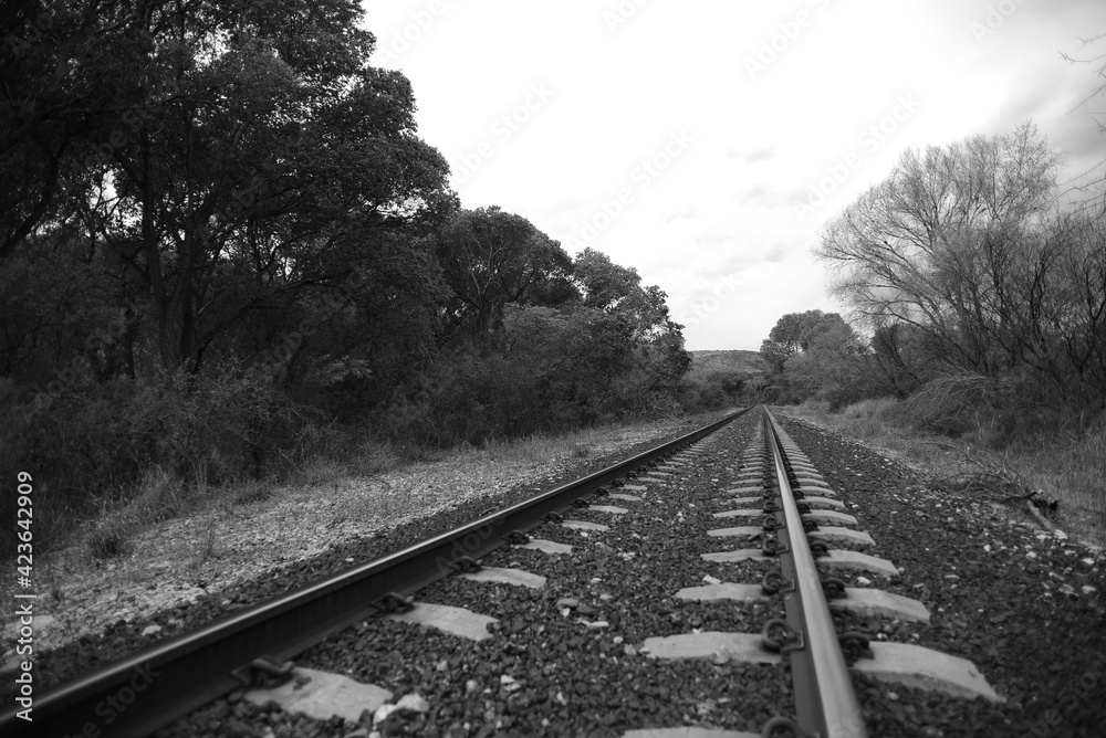 Vias de tren en blanco y negro 