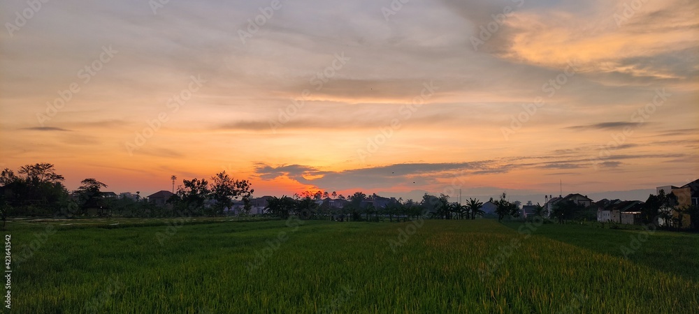 sunset over the field in Yogyakarta