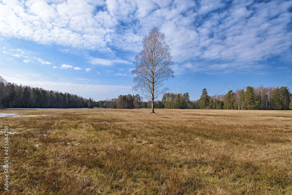 Warming with the onset of spring.
