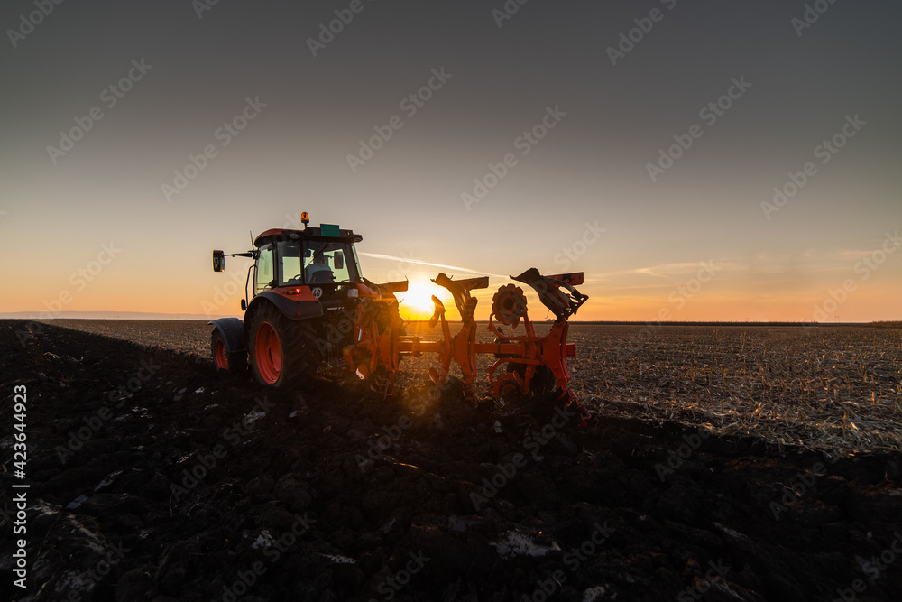Fototapeta premium Tractor on the field during sunset.
