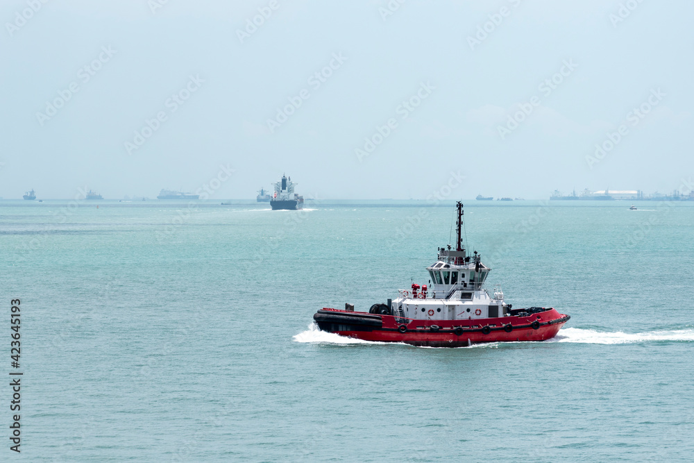 Tugboat on her way to assist with maneuverings, to cargo ship arriving to port of Singapore.