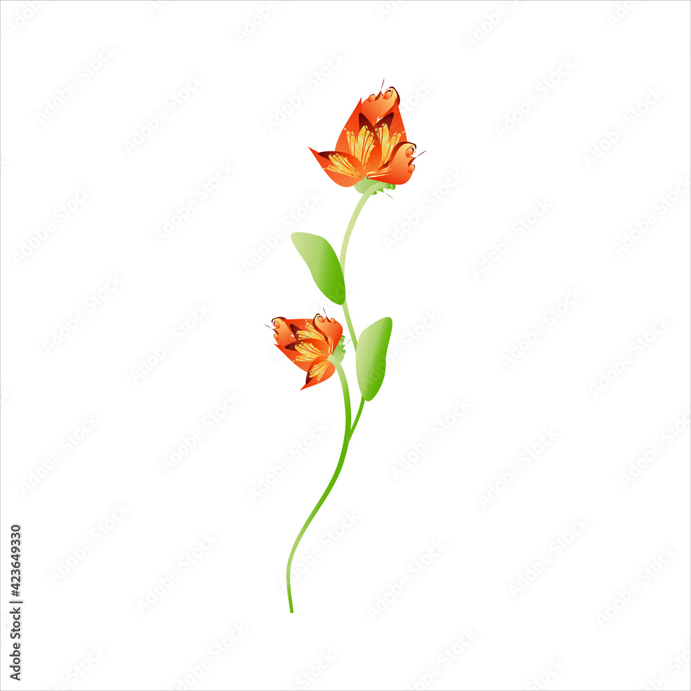 Obraz premium beautiful flowers