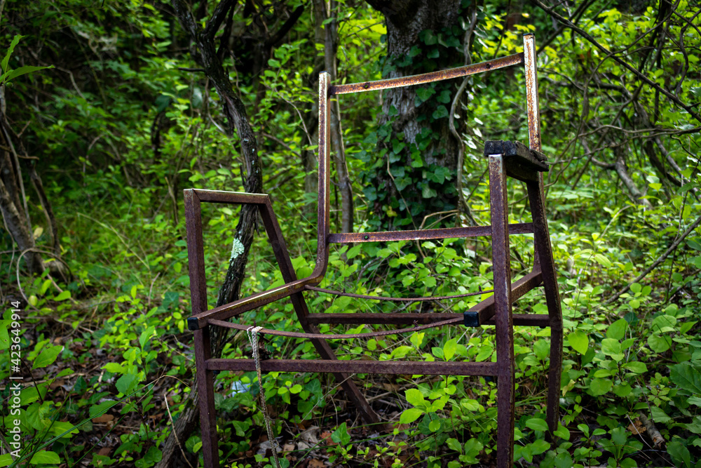 Abandoned Chair in the Forest