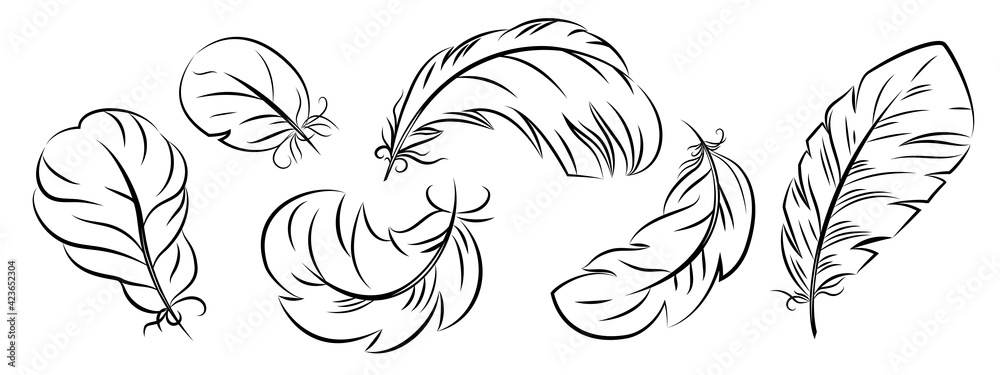 Fototapeta premium Feathers of different shapes in the sketch style. Vector isolated on a white background.