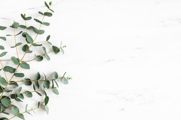 Eucalyptus leaves on marble background. Frame made of eucalyptus branches. Flat lay, top view