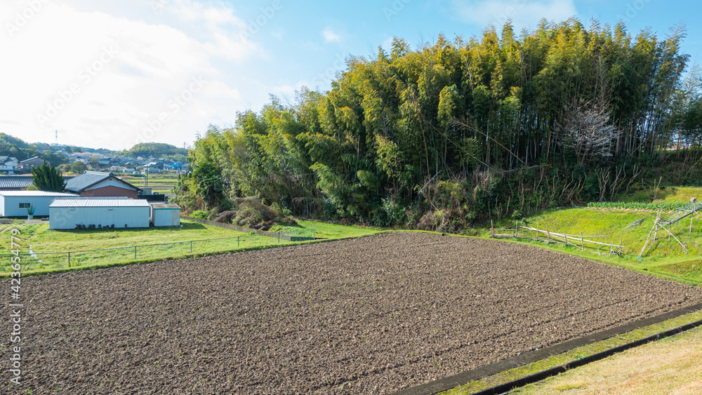 Obraz premium 日本の春の農村風景