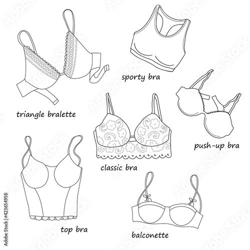 Set of different kind of woman bras. Push-up, classic, sporty, balconette, triangle and top bras. Minimalistic illustration in line isolated on white background