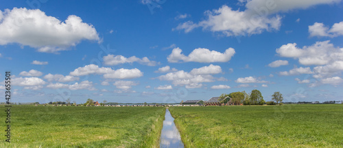 Panorama of the flat dutch landscape with a farm and cows photo