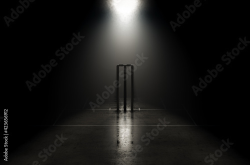 Futuristic Cricket Wickets photo