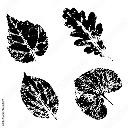 Ink print leaves. Black ink prints of leaves of trees and bushes
