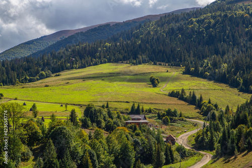 Countryside in the mountains. Sunny day. beautiful summer landscape in the mountains. Rural landscape. grassy meadows with coniferous trees in the mountains.