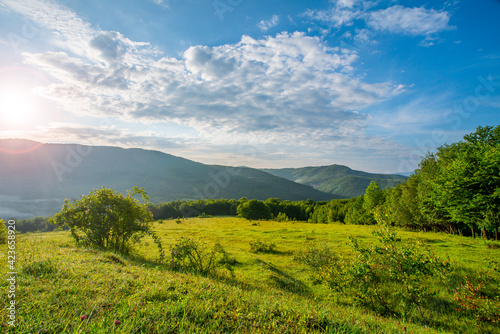 meadow covered with grass and bushes near trees on a background of mountains at sunrise. Landscape of summer mountains.