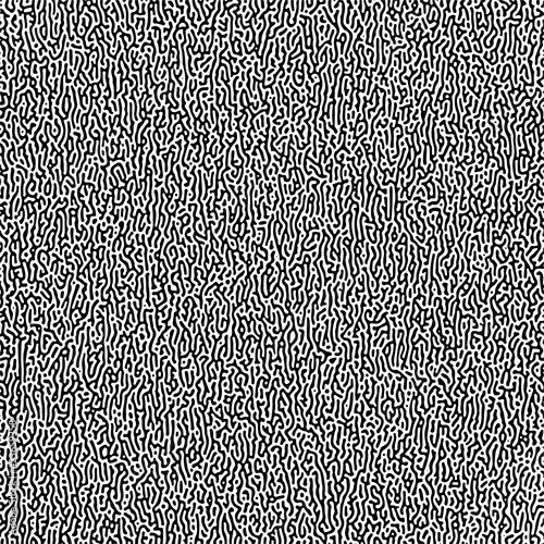 Cyclic Symmetric Multiscale Turing Pattern. Monochrome texture photo