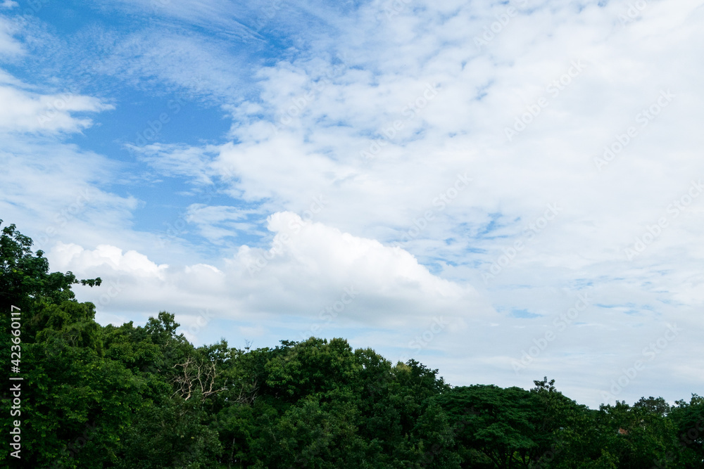 Sky and cloud concept Beautiful Blue sky and mountains. Beautiful Cumulus Cloud in the Bright Sky Background Sky and cloud concept Beautiful Blue sky and mountains. Beautiful Cumulus Cloud in the Bright Sky Background