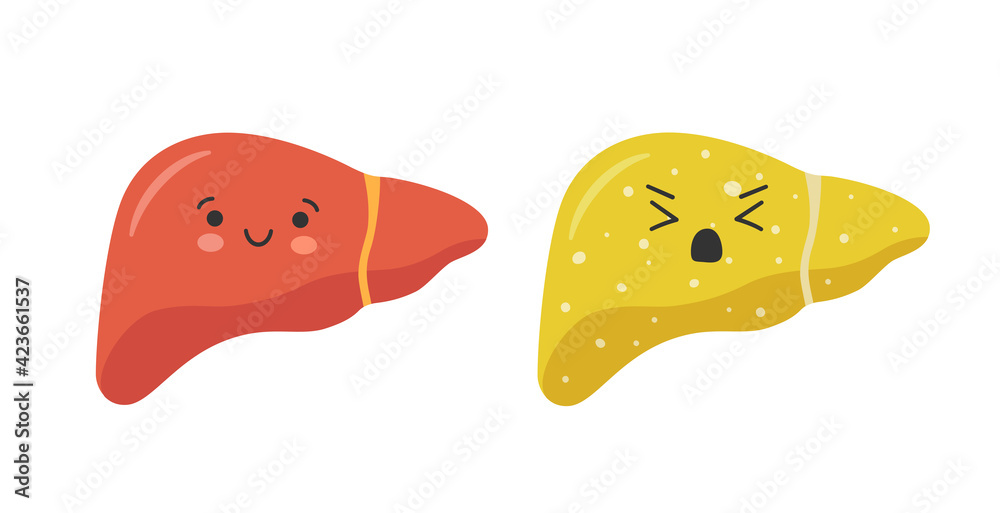 Healthy happy smiling cute liver character and sad sick unhealthy liver. Isolated vector illustration in flat style on white background