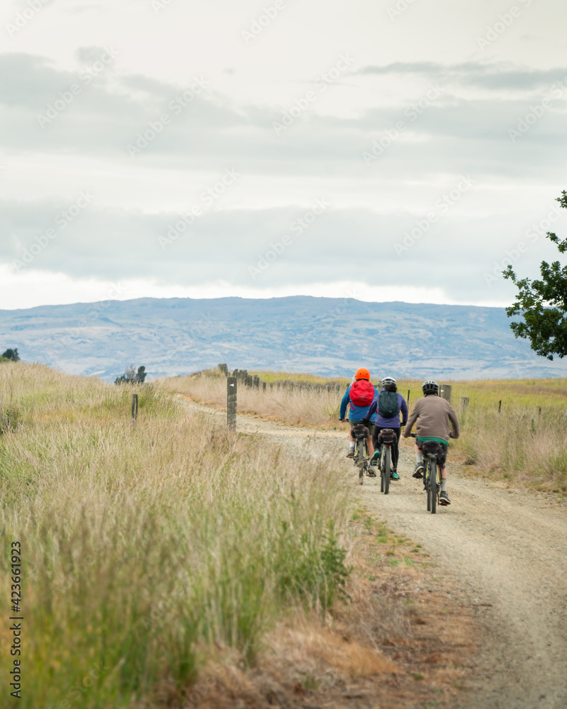 Three people cycling the Otago Central Rail Trail in the countryside, South Island. Vertical format.