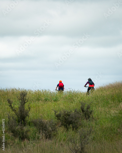 Two cyclists riding the Otago Rail Trail among the high grass, Vertical format