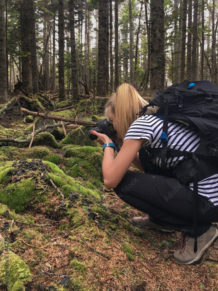Hike to the forest in autumn. A young girl goes to the mountains with a backpack.