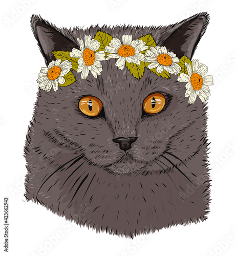 Cat and wreath, sketch, pet, hand-drawn, animal portrait, t-shirt print, image for packaging. scottish fold. Stock vector image isolated on white background. Flowers on the head, spring illustration