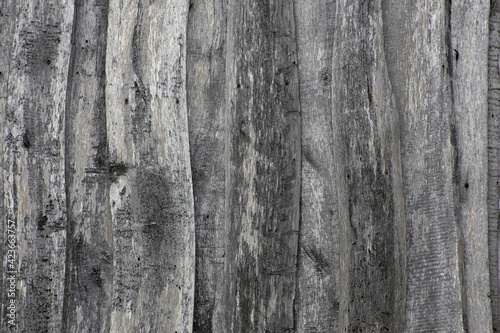Close-up view of the old board fence