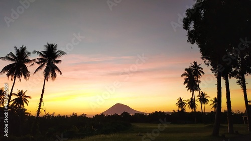 sunset in the jungle