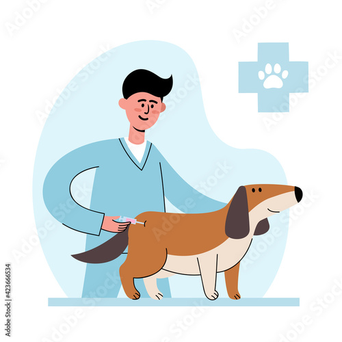 Veterinarian geting vaccinated to dog isolated on vet hospital interior