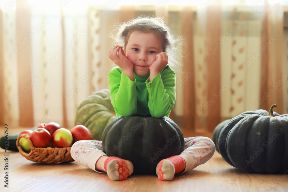 Fototapeta premium Little child choose a pumpkin at autumn. Child sitting on giant pumpkin. Pumpkin is traditional vegetable used on American holidays - Halloween and Thanksgiving Day.