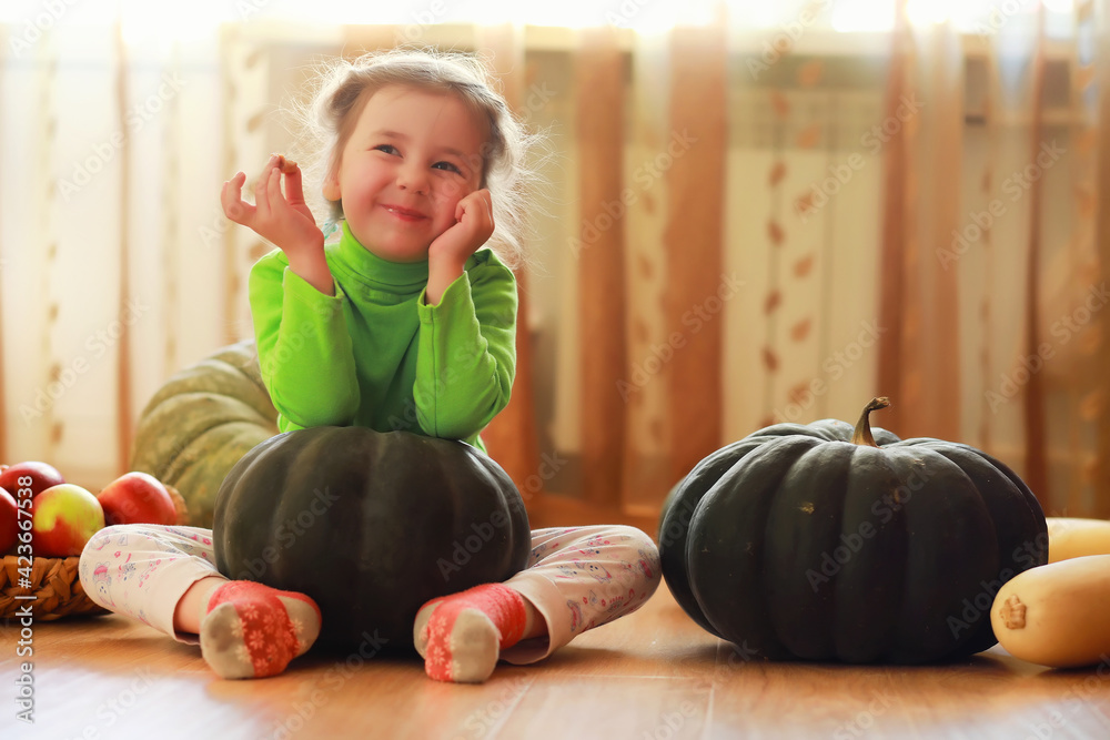 Fototapeta premium Little child choose a pumpkin at autumn. Child sitting on giant pumpkin. Pumpkin is traditional vegetable used on American holidays - Halloween and Thanksgiving Day.