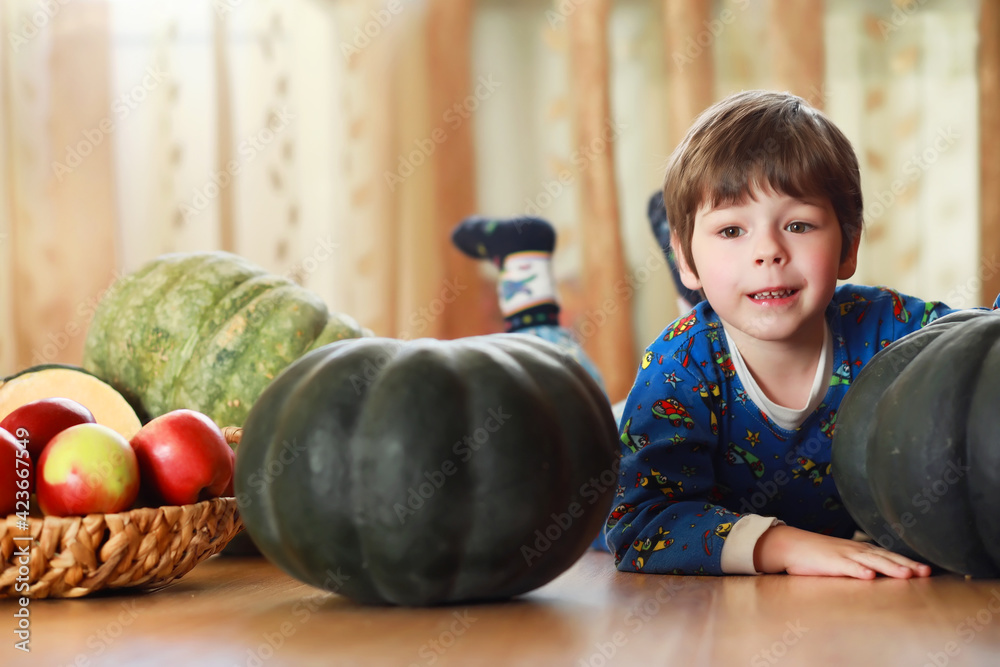 Fototapeta premium Little child choose a pumpkin at autumn. Child sitting on giant pumpkin. Pumpkin is traditional vegetable used on American holidays - Halloween and Thanksgiving Day.