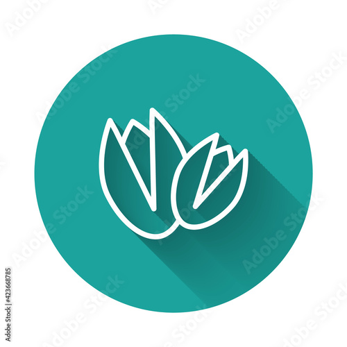 White line Pistachio nuts icon isolated with long shadow background. Green circle button. Vector