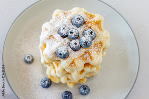 Homemade vanilla waffles with sugar powder and fersh blueberries on a plate, perfect family breakfast photo