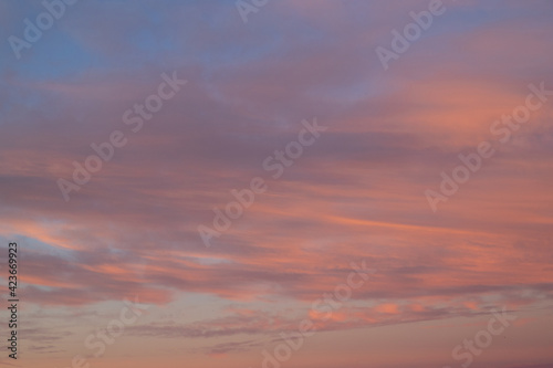 Pink coloured sky at dawn time.