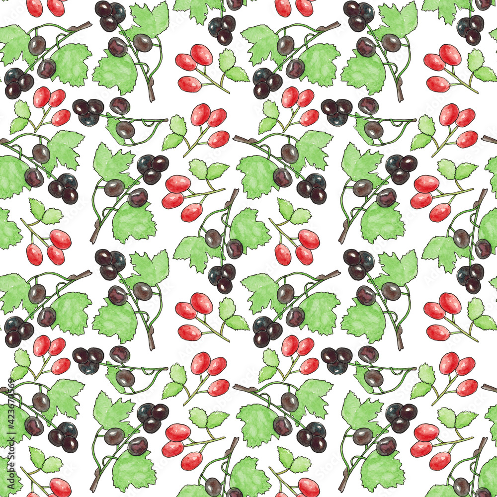 Seamless pattern with blackcurrant and rosehip on a white background. Vitamin C. The illustration is hand-drawn in watercolor. it can be used on fabrics, wallpaper, covers, menus, packaging paper. Seamless pattern with blackcurrant and rosehip on a white background. Vitamin C. The illustration is hand-drawn in watercolor. it can be used on fabrics, wallpaper, covers, menus, packaging paper.