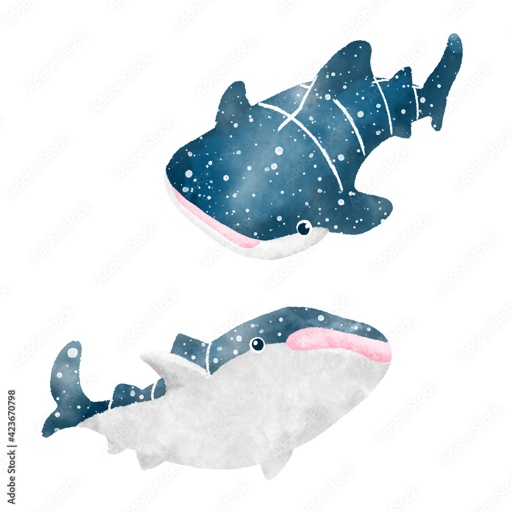 上下のアングルから描いた2匹のジンベイザメの水彩画風イラスト Stock Illustration Adobe Stock