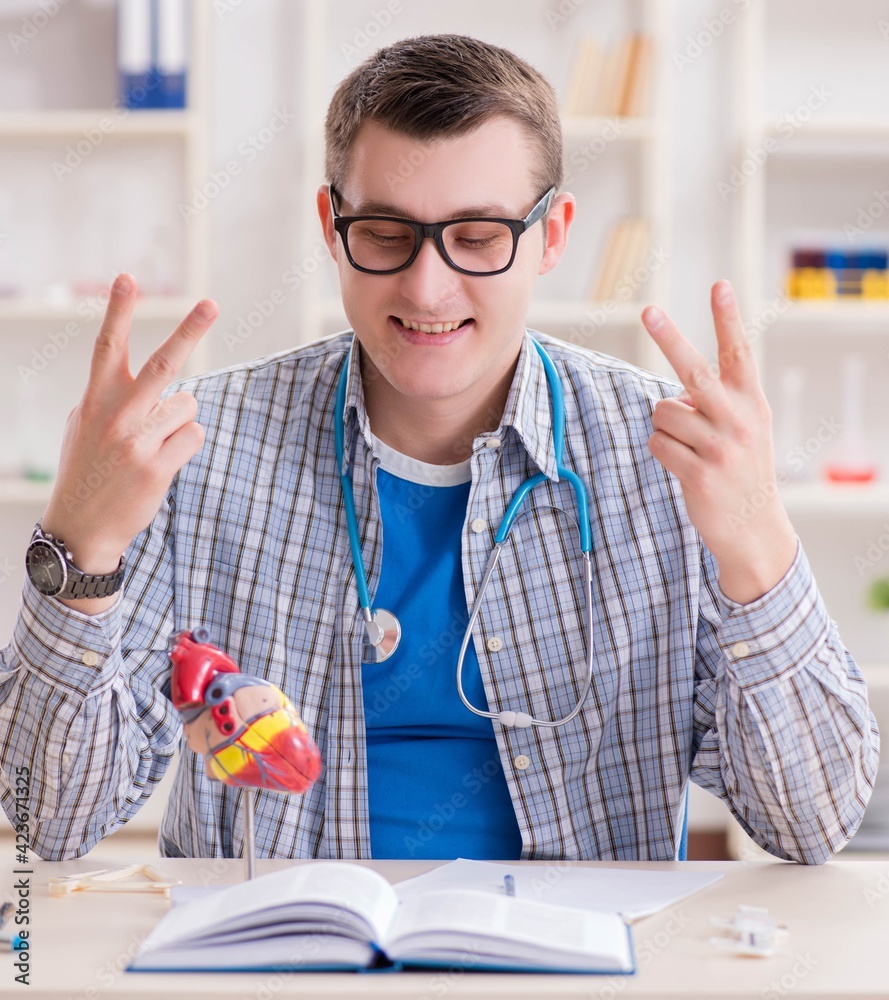 Medical student studying heart in classroom during lecture Medical student studying heart in classroom during lecture