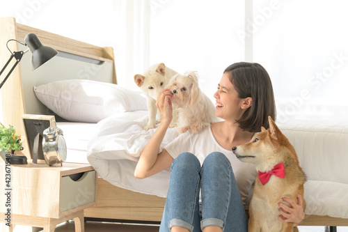 Young Asian woman relaxing and playing with three dogs (brown shiba inu, white shiba puppy and white maltese)in bedroom at home, Cheerful and nice couple with people and pet. Pet Lover concept