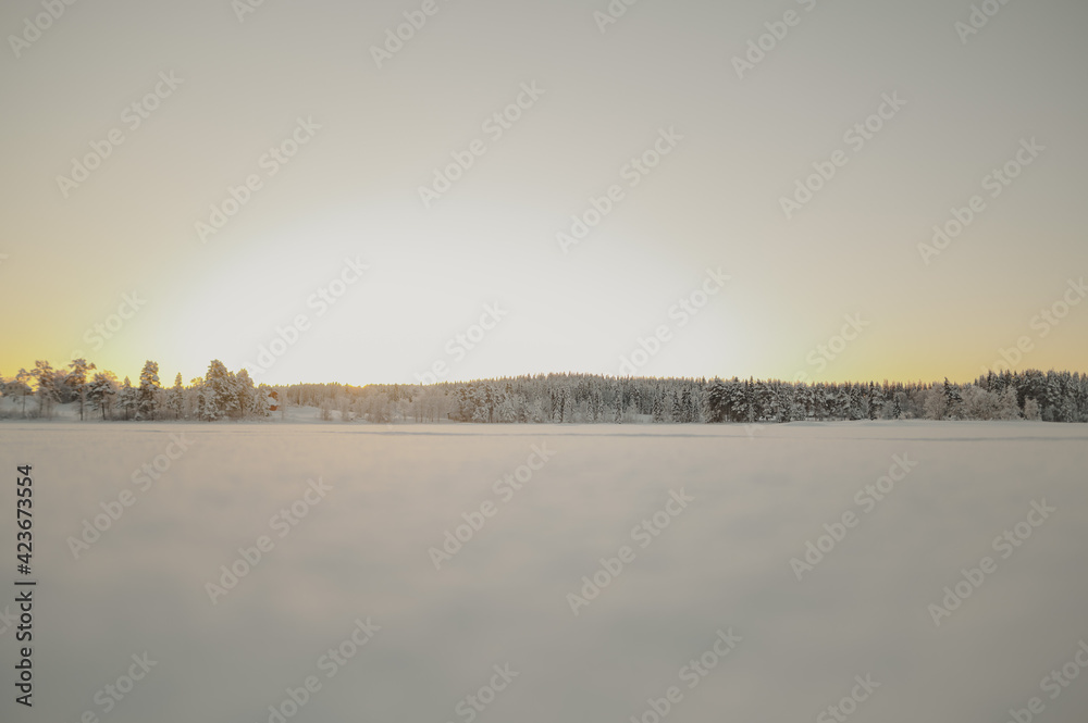 Frozen Lake in Swedish Taiga with Forests and Sunset