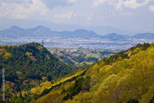Mishima cityscape view from Mishima sky walk in Mishima city, Shizuoka, Japan. © Tanya