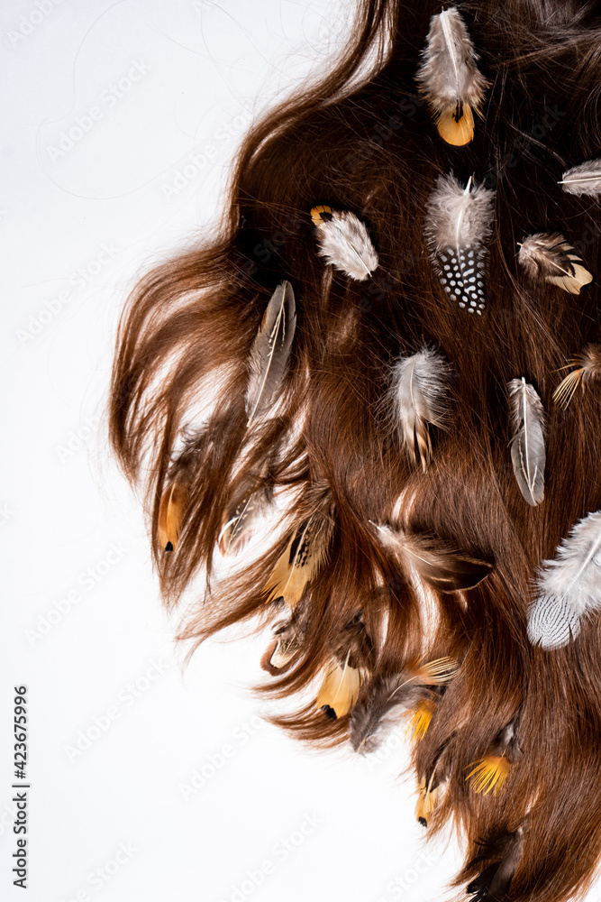 Naklejka premium Mottled feathers in long women's hair on a white background close-up