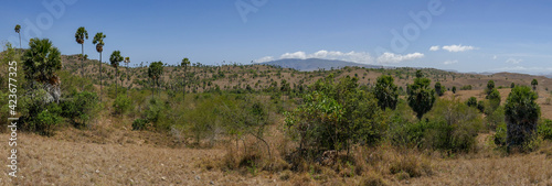 Scenic landscape panorama view of arid Rinca island in Komodo National Park, Flores, East Nusa Tenggara, Indonesia photo