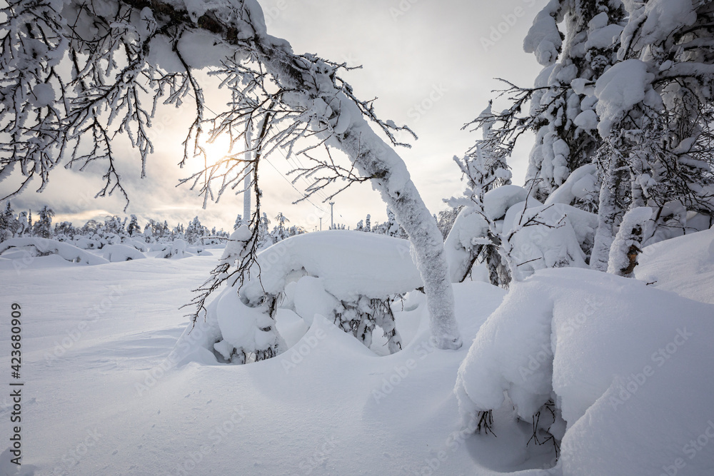 Typical landscapes of Swedish Lapland in winter. Beautiful snow covered trees with lots of snow.