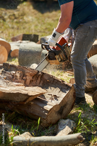 Lumberjack with chainsaw working