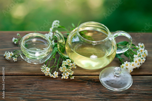 Herbal tea with achillea salicifolia flowers in a glass teapot and glass thermo cup on a green bokeh background.