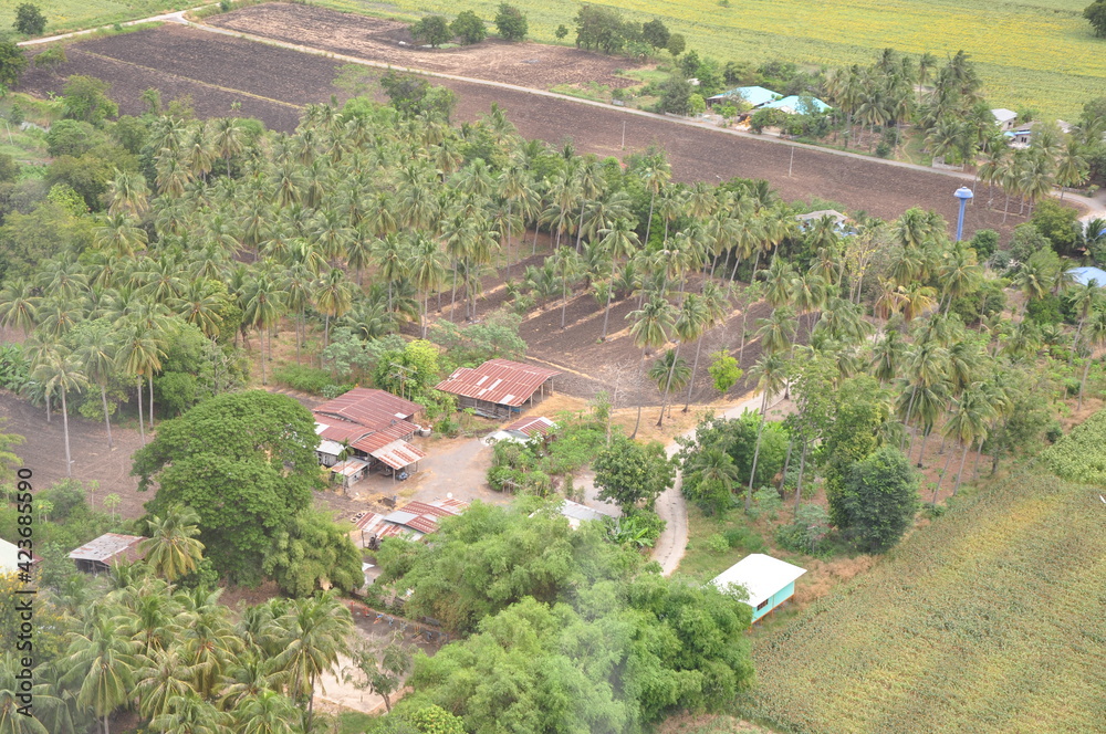 Obraz premium Helicopter ride Nature view in thailand
